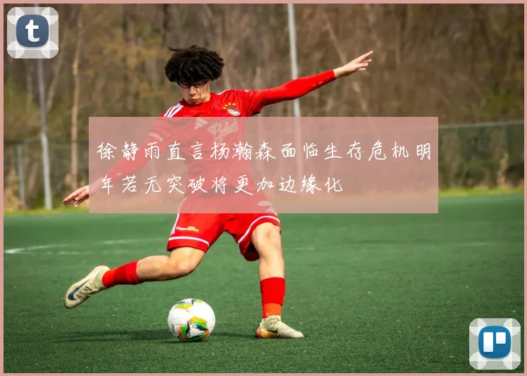 徐静雨直言杨瀚森面临生存危机明年若无突破将更加边缘化